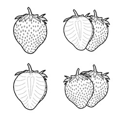 Strawberry Vector Illustration Hand Drawn Fruit Cartoon Ar