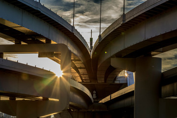 Fototapeta premium 荒川堤防 350