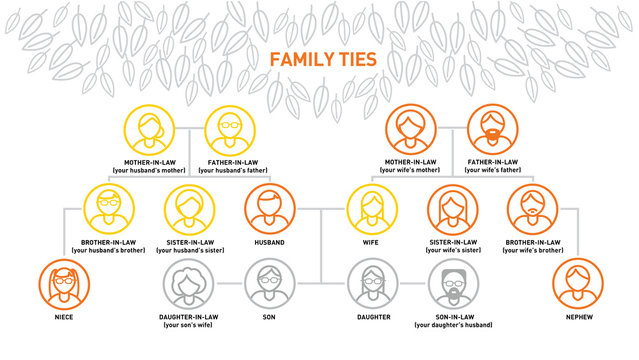 Family diagram, family ties infographics, generations of relatives, family tree diagram. Set of  impersonal people vector line icons.