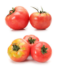 tomato on white background