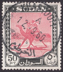 Dromedary (Camelus dromedarius).Carmine and black colors, stamp Sudan 1960