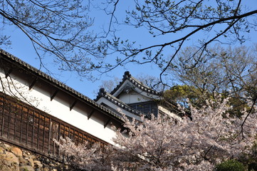 城と桜