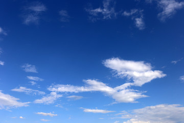 Naklejka na ściany i meble blue sky background with tiny clouds.