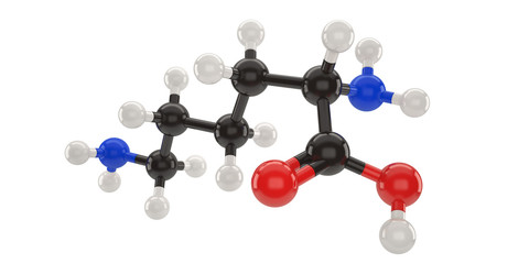 Lysine molecule structure 3d illustration with clipping path