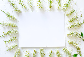 Beautiful flowers as floral frame and paper card.Flowers composition. Pattern made of white  flowers  on white background. Flat lay, top view, copy space. Valentines day, mothers day concept.