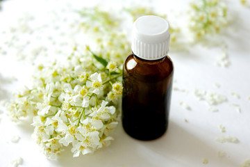 Bottle of essential oil. Organic oil and white flowers  on a white background. Flat lay. Beauty blogger concept. The minimal style.