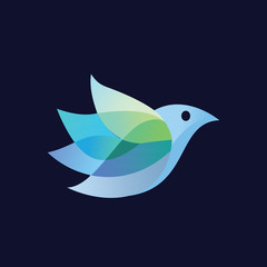 Beauty bird logo and abstract logo