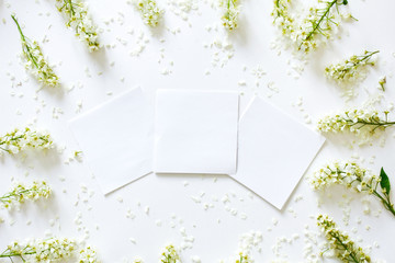 Frame made of various white flowers on white background. Flowers composition. Pattern made of white  flowers  on white background. Flat lay, top view, copy space. Card mockup with frame with flowers.
