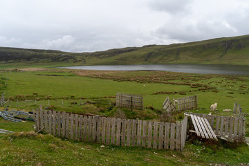 Isle of Skye Schottland Naturaufnahme