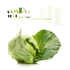 cabbage on white background