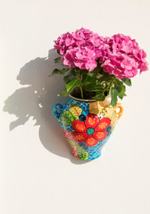 Vaso colorato con fiori su muro bianco