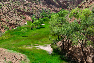 Valley greens between the mountains