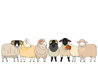 Obraz premium cute cartoon sheep group