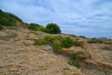 costa y vegetación mediterránea en Tarragona (España)