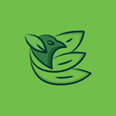 bird leaf wings logo and abstract logo