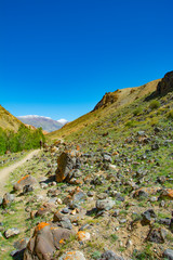 Kyzyl-Chin Valley,Altai Mountains,Russia.Colored Rocks Kyzyl-Chin (Other Name Is Mars).Picturesque Martian Landscape From Multi-Colored Clays.Deposit Of Colorful Clay In Altai Mountains Or Mars Valley