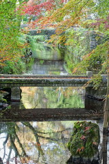 滋賀県米原市醒ヶ井にある地蔵川と紅葉の風景