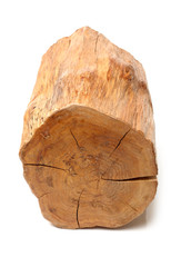 log isolated on a white background