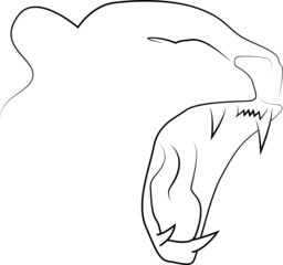 panther tiger lioness growls open mouth vector