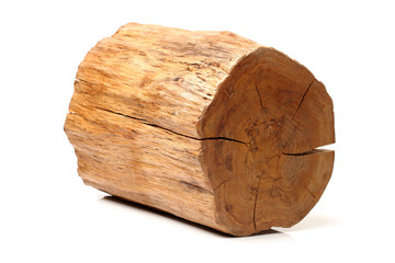 log isolated on a white background
