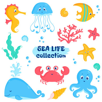 Sea animals and plants elements. Cute vector set.