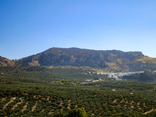 Fototapeta na wymiar 快晴の秋のアンダルシア　オリーブ畑に囲まれた白い村（スペイン・アンダルシア）