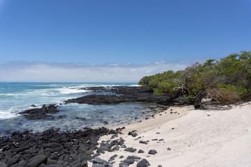 Fototapeta na wymiar Love beach in Isabela Island, Galapagos Islands