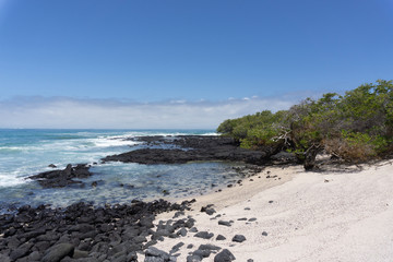 Love beach in Isabela Island, Galapagos Islands