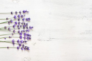 Lavender flowers on rustic white wood