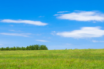 Obraz premium Prosty obraz użytków zielonych i ziemi