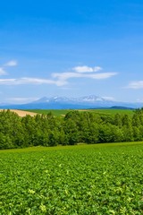 日本の北海道　大地と青空　シンプル背景
