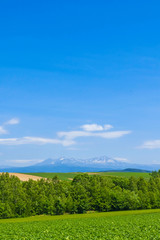 日本の北海道　大地と青空　シンプル背景