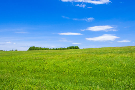 草原と大地　シンプルイメージ