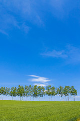 日本の絶景　草原と青空テクスチャ