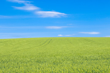 Obraz premium 日本の絶景 草原と青空テクスチャ