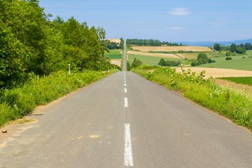 Fototapeta premium 日本の絶景の道 