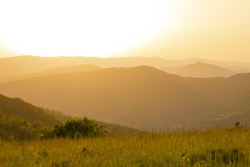 landscape nature summer