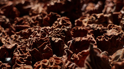 Myristica fragrans Buah Pala Background