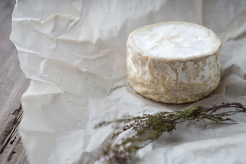 Camembert, soft cheese on crumpled paper background
