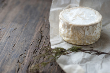 Camembert, soft cheese on crumpled paper background