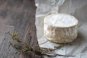 Camembert, soft cheese on crumpled paper background