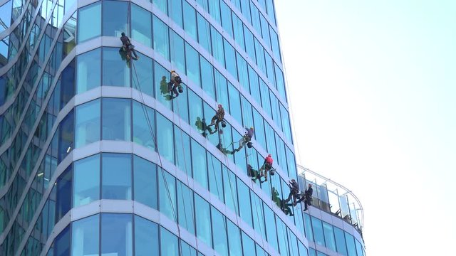 Window cleaners hang on ropes and work on a glass facade of a building in a city - view from below
