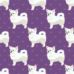 Chihuahua dog white seamless pattern