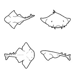 Angelshark Vector Illustration Hand Drawn Animal Cartoon Art