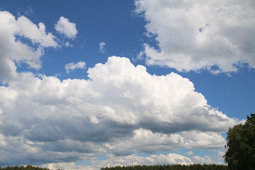 Obraz na płótnie Canvas Wunderschöne Kumuluswolken über dem Getreidefeld