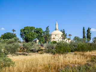 Fototapeta premium Hala Sultan Tekke seen from a distance. The mosque is surrounded by lush setting - palm trees and smaller bushes. Mosque is located at the shore of the Larnaca salt lake. Cloudless sky.