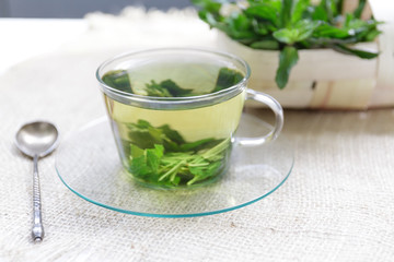 herbal tea of currant and mint leaves in a glass transparent Cup on a saucer with a silver spoon and a blurred bouquet of mint in the background