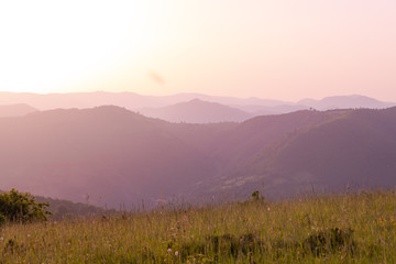 landscape nature summer