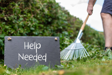 Help wanted in the garden. Man is raking leaves of a freshly cut hornbeam hedge. The words 