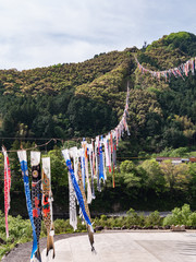 高知県 四万十町 こいのぼり公園